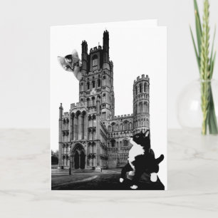Kittens playing on Ely Cathedral Card