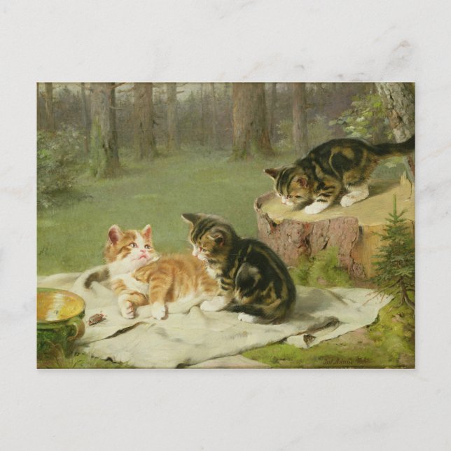 Kittens Playing Postcard (Front)
