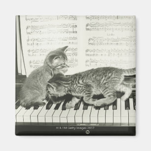 Kittens Playing the Piano Magnet