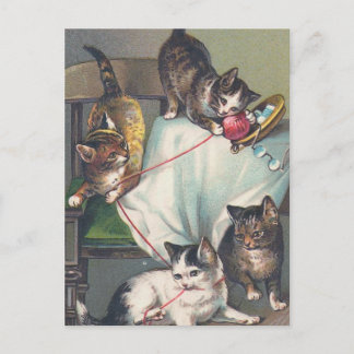 "Kittens Playing with Knitting Wool" Postcard