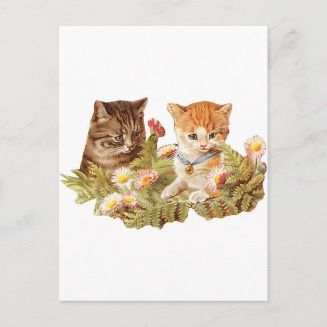 Kittens Postcard (Front)