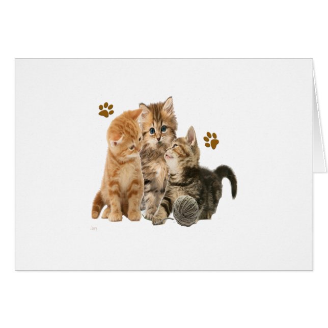 Kittens products (Front Horizontal)