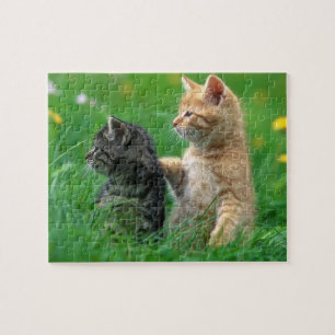 Kittens Puzzle