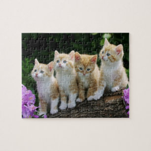 Kittens Puzzle