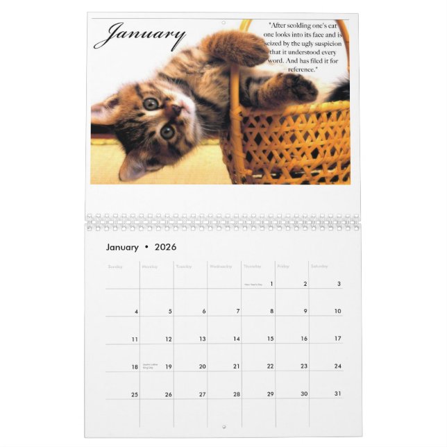 Kittens & Quotes 2009 Calender Calendar (Jan 2026)