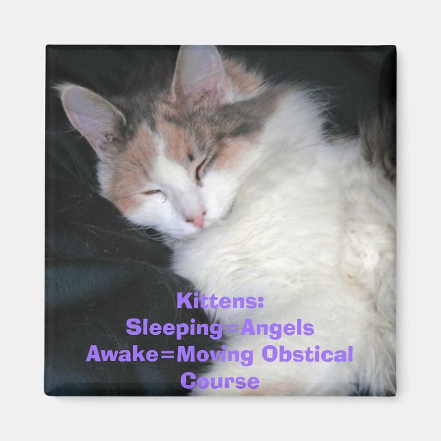 Kittens:Sleeping=AngelsAwake=Moving Obstical Co... Magnet (Front)