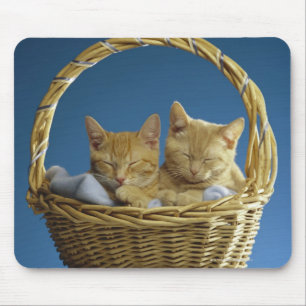 Kittens sleeping in basket mouse mat
