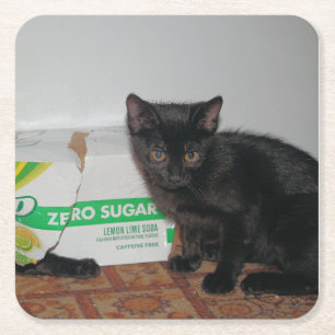 Kittens Square Paper Coaster