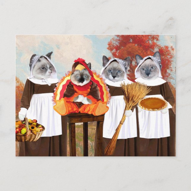 Kittens Thanksgiving Post Card (Front)