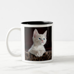 kittens Two-Tone coffee mug