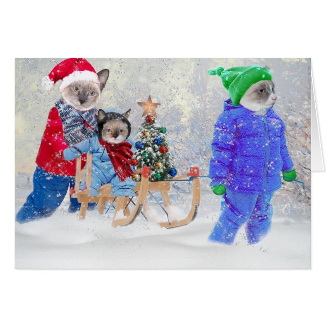 Kittens Winter Wonderland Greeting Card (Front Horizontal)