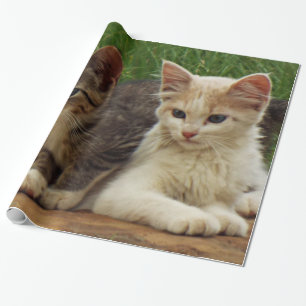 Kittens Wrapping Paper
