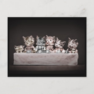 Kitties at the Tea Table Holiday Postcard