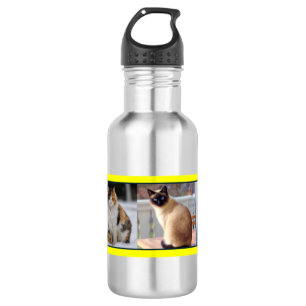 Kitties Everywhere 532 Ml Water Bottle