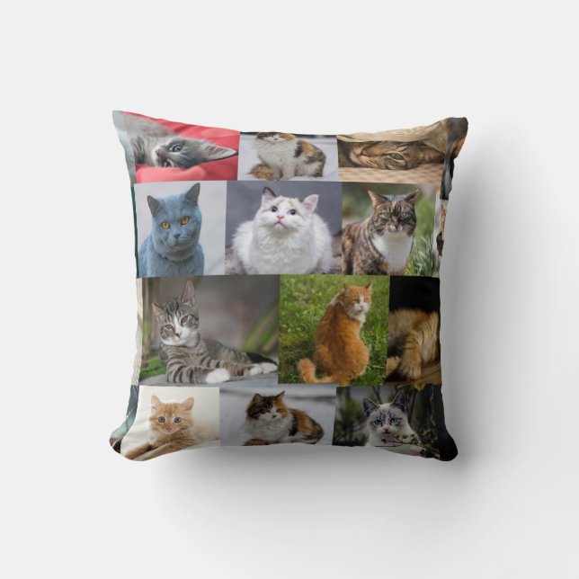 Kitties Everywhere Cushion (Front)