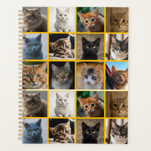 Kitties Everywhere Planner