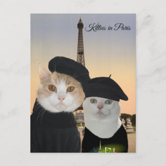 Kitties in Paris Postcard