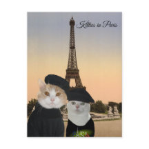 Kitties in Paris