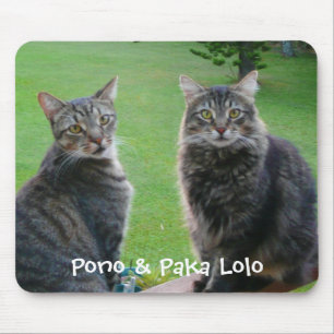 Kitties  Pono & Paka Lolo Mouse Mat