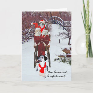 Kitties' Sleigh Ride Holiday Card