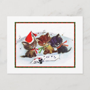 Kitties with Maestro Mouse Postcard