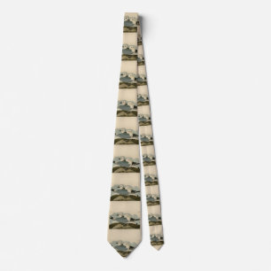 Kittiwake Gull from Audubon's Birds of America Tie