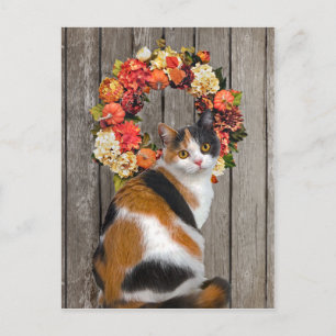 "Kittles" Postcard