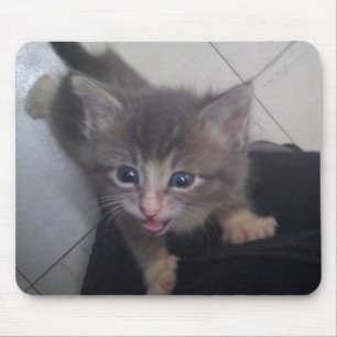 kittty mouse mat