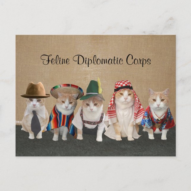 Kitty Ambassadors Postcard (Front)