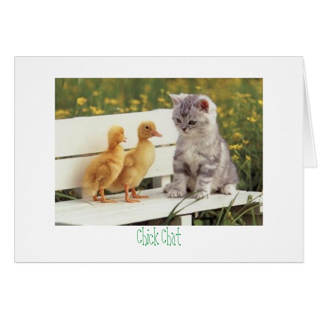 kitty and ducks Chick Chat (Front Horizontal)