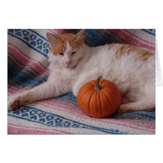 Kitty and Pumpkin (Front Horizontal)