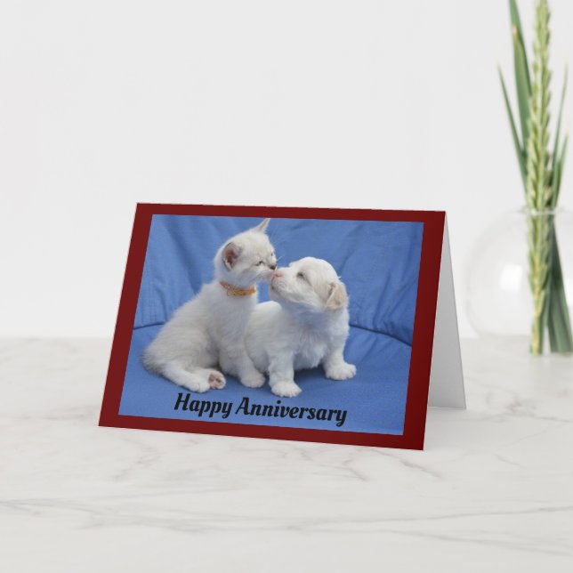 Kitty And Puppy Anniversary Greeting Card (Front)
