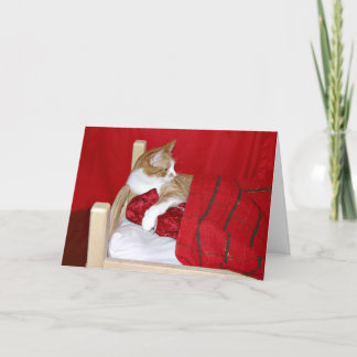 Kitty and Teddy Bear Valentine Holiday Card
