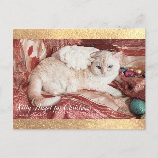 Kitty Angel for Chrismas Announcement Postcard (Front)