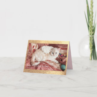Kitty Angel for Christmas Announcement