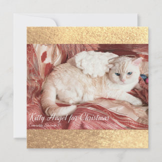 Kitty Angel for Christmas Card
