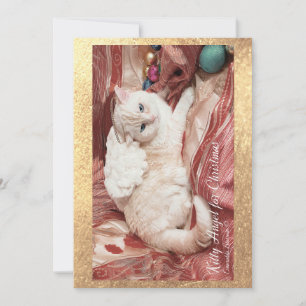 Kitty Angel for Christmas Card