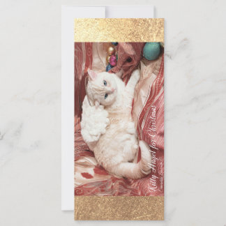 Kitty Angel for Christmas Card