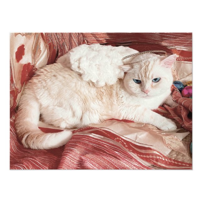 Kitty Angel Photo Print (Front)