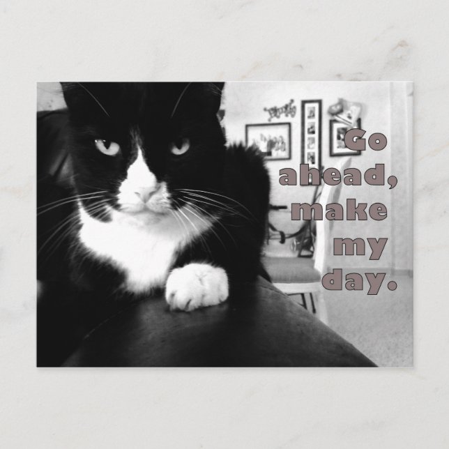 Kitty Attitude - Go Ahead, Make My Day Postcard (Front)