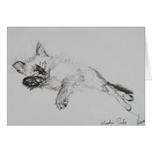 Kitty 'Baby'