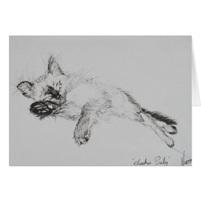 Kitty 'Baby' (Front Horizontal)