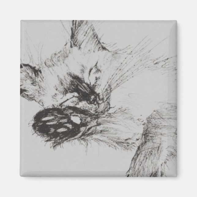 Kitty 'Baby' Magnet (Front)