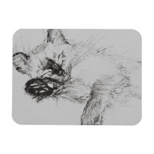 Kitty 'Baby' Magnet