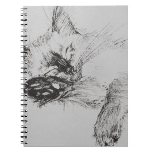 Kitty 'Baby' Notebook