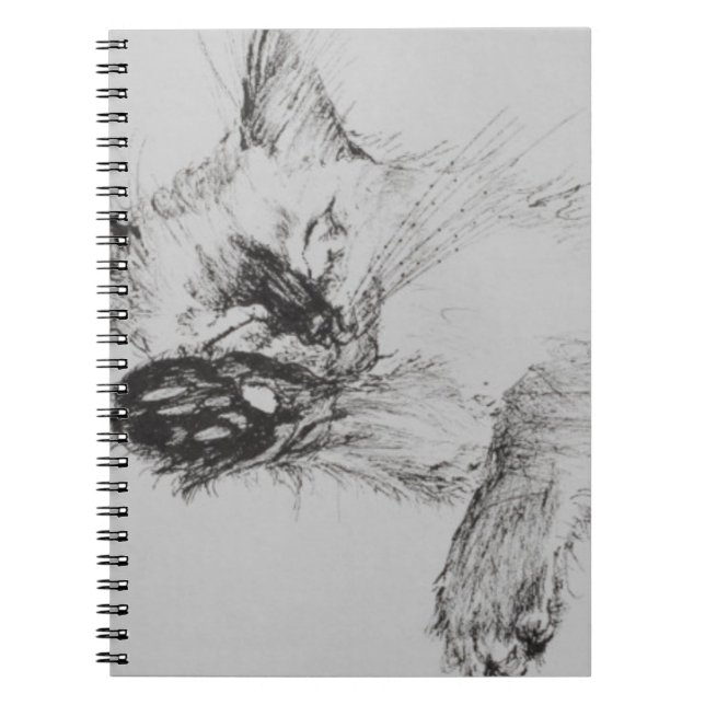 Kitty 'Baby' Notebook (Front)