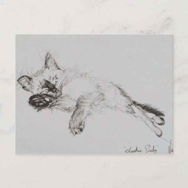 Kitty 'Baby' Postcard (Front)