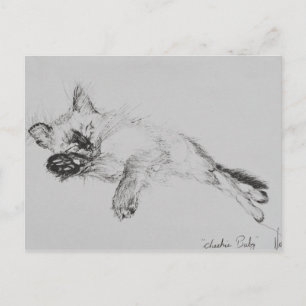 Kitty 'Baby' Postcard