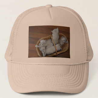 Kitty Ball Cap 