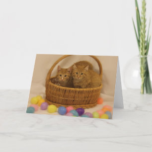 Kitty Basket Holiday Card